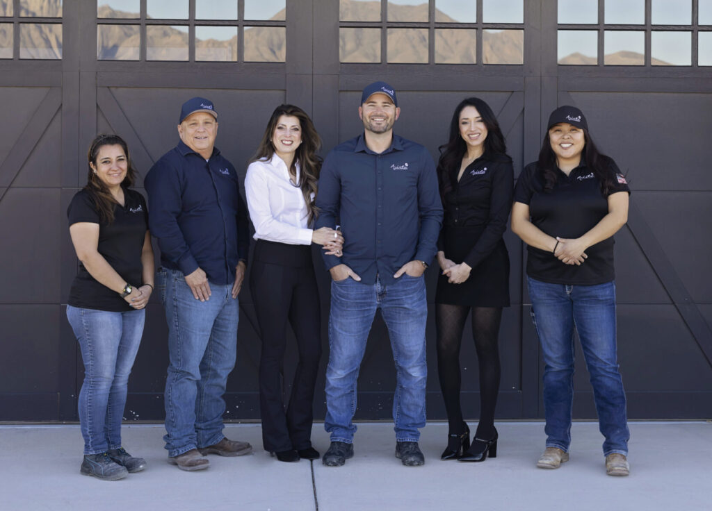 Arista Developement Team